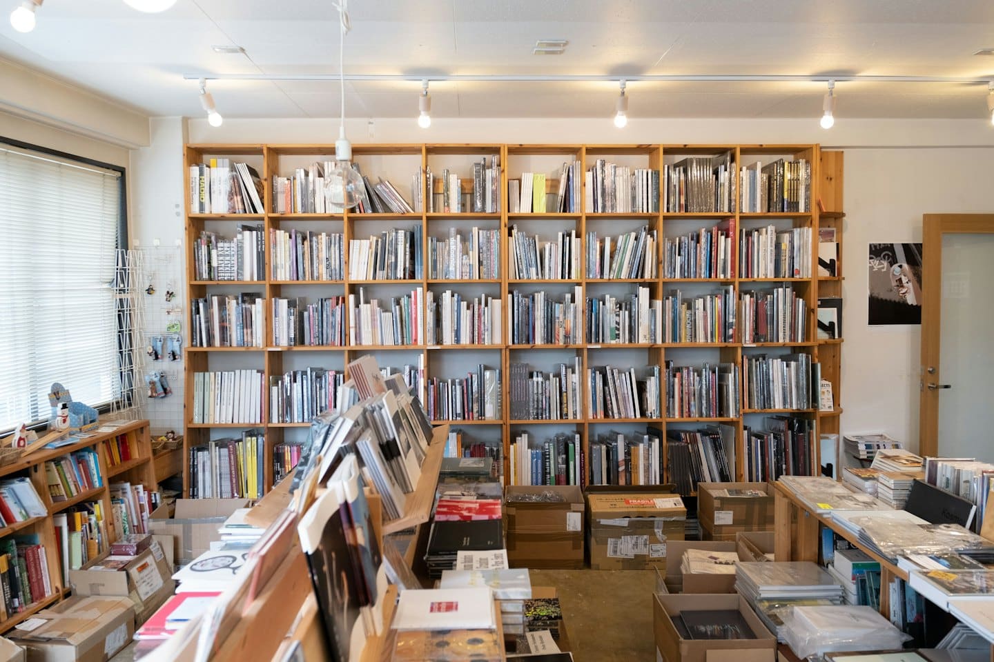 Scaffali di legno pieni di libri riempiono una libreria indipendente.