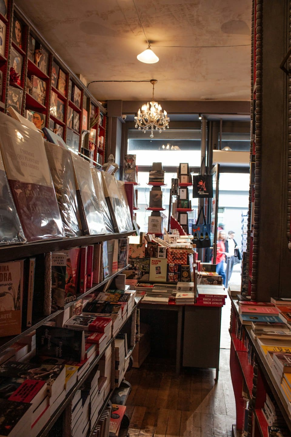 Scaffali pieni di libri vari riempiono un negozio accogliente.